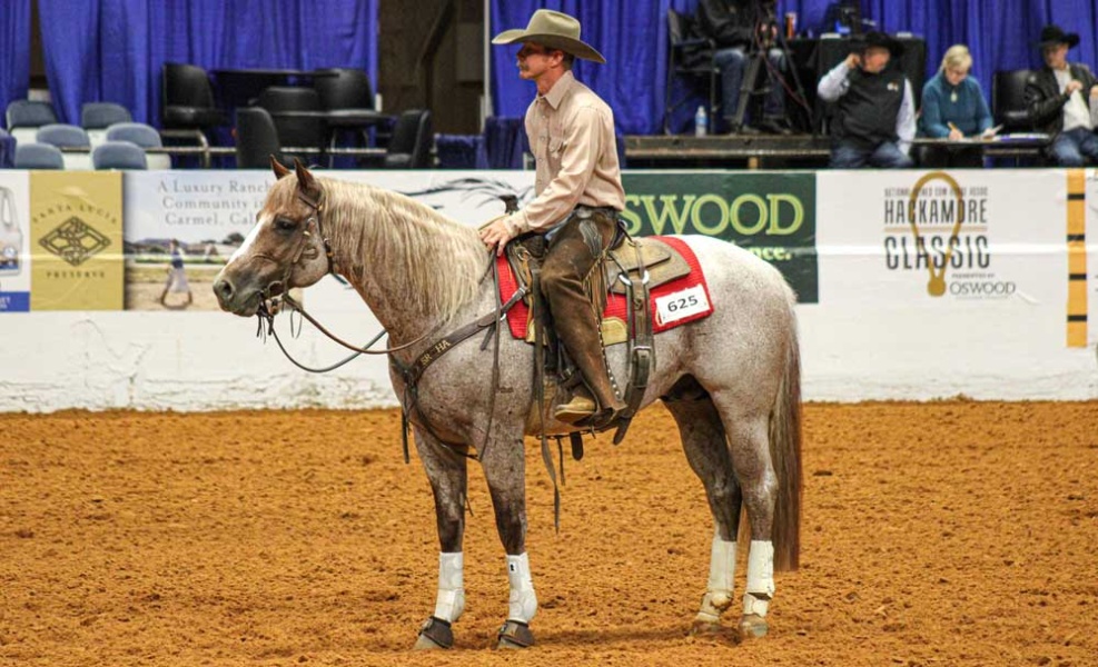 Terry Riddle and Bet Hesa Ginnin (Bet Hesa Cat x Ginnin Stoli) owned by Burnett Ranches, LLC., calmly wait on their cow to enter the arena during an AQHA Ranching Heritage Challenge class at the 2021 NRCHA Snaffle Bit Futurity.