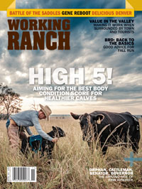 working ranch magazine