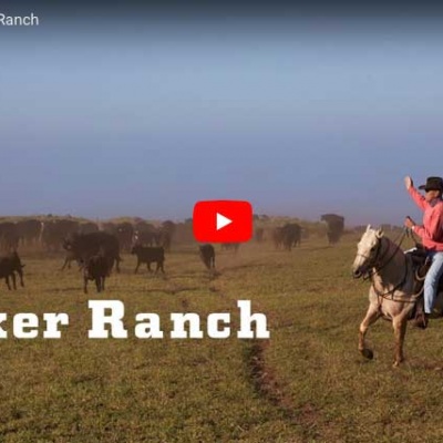 parker ranch