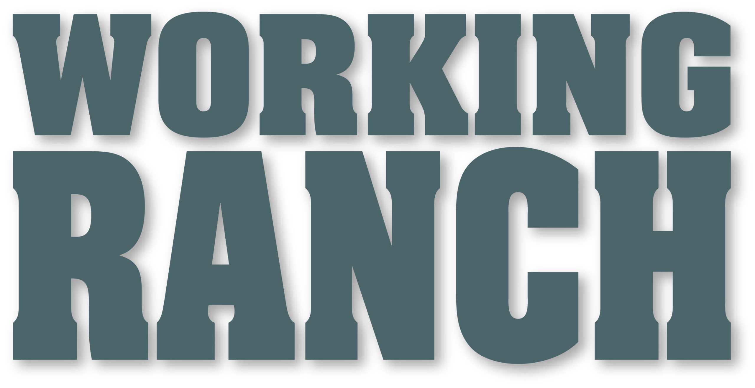WR Logo - blue grey drop shadow Working Ranch Logo