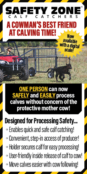 Safety-Zone_Banner_300x600