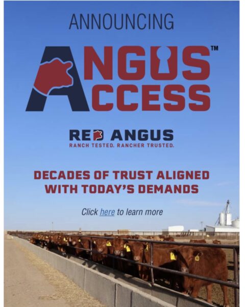 Introducing Angus Access