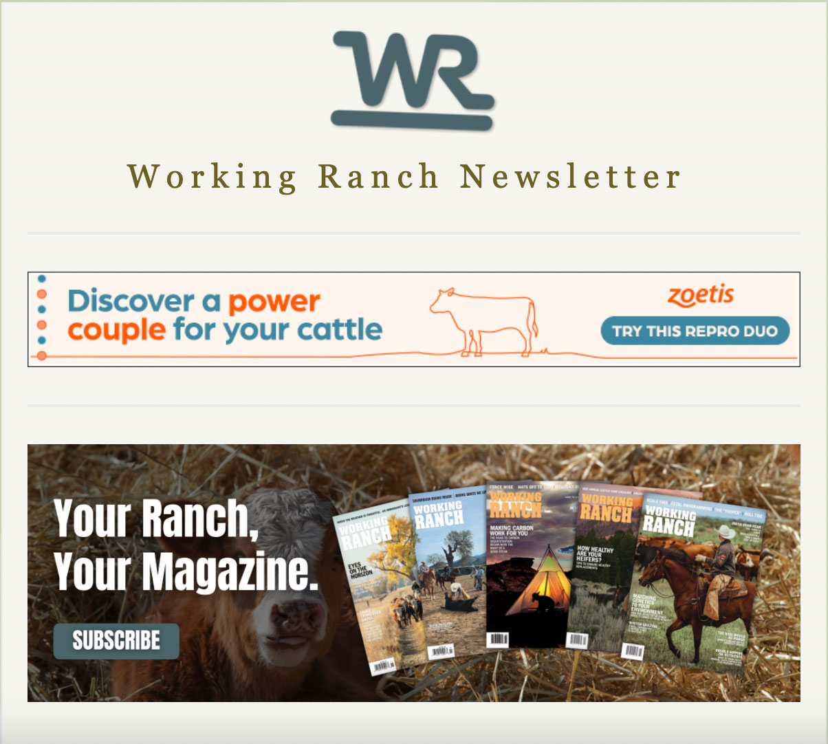 Working Ranch Newsletter